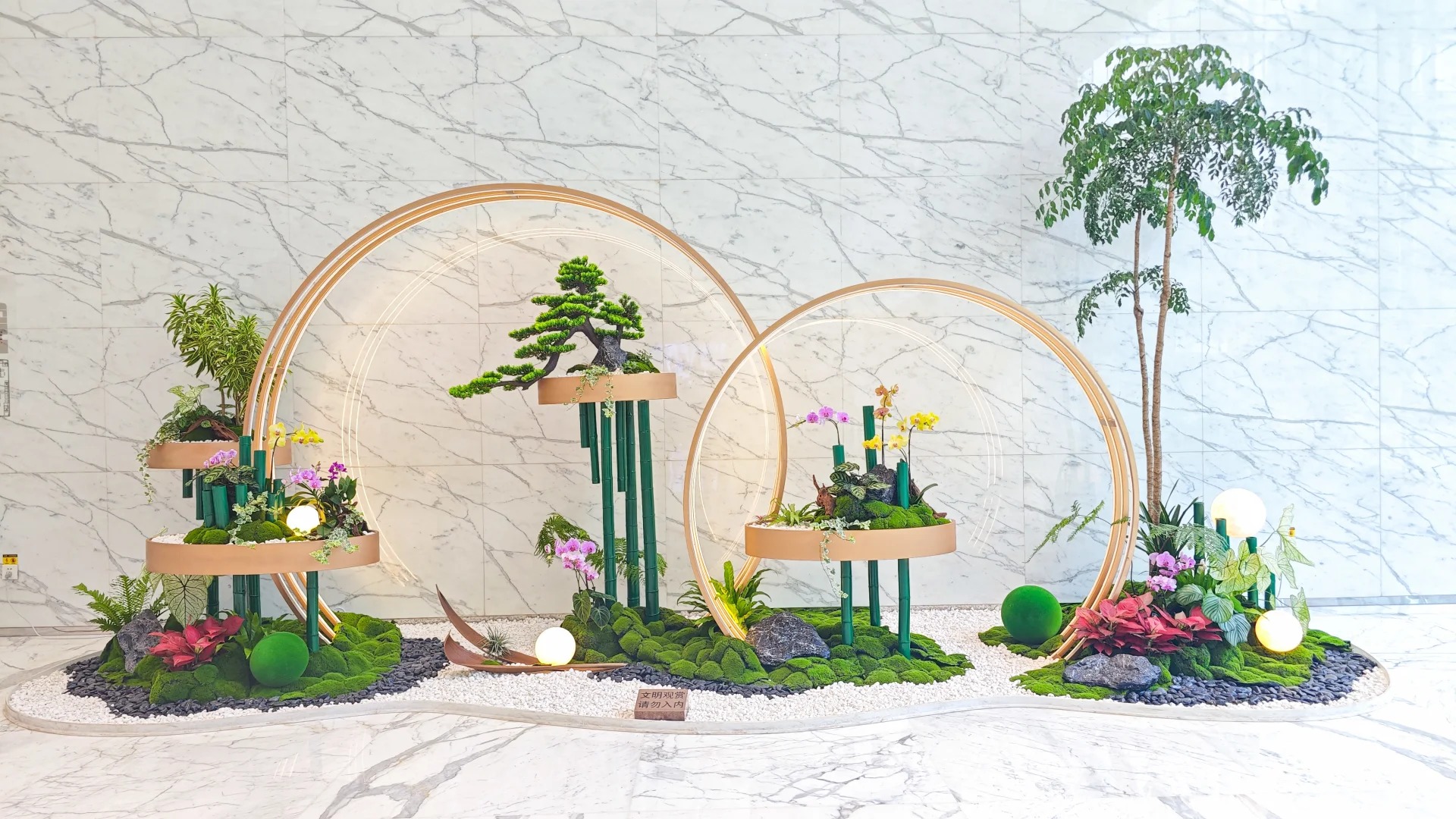 专业植物租赁，宁波镇海的绿色新选择